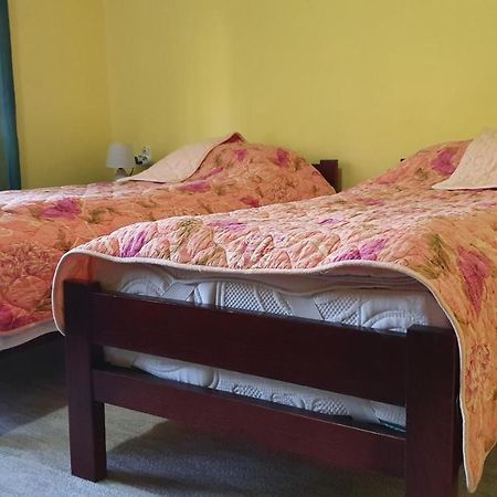 Apartment Roxana Centar نوفي ساد المظهر الخارجي الصورة