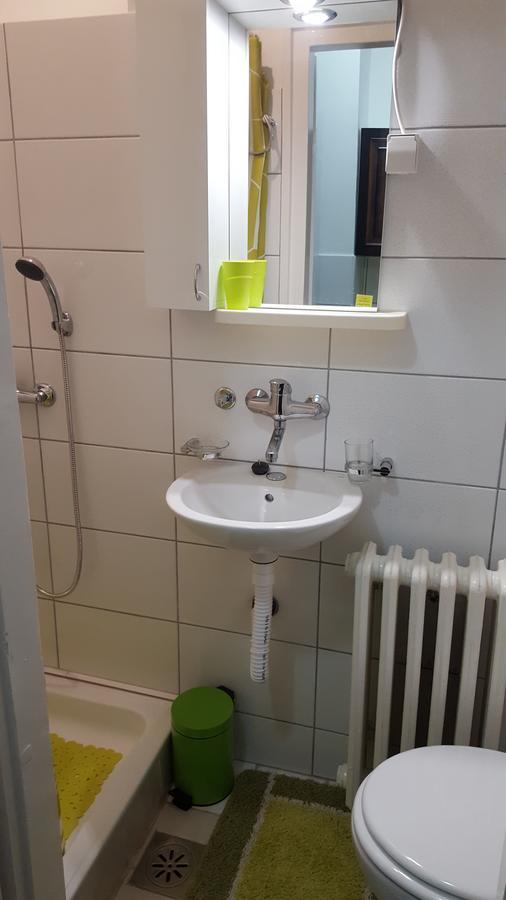 Apartment Roxana Centar نوفي ساد المظهر الخارجي الصورة